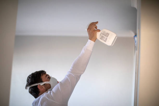 Best Commercial Mold Removal  in Ajo, AZ