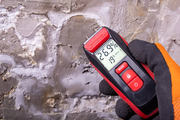 Best Office Mold Removal Services  in Ajo, AZ