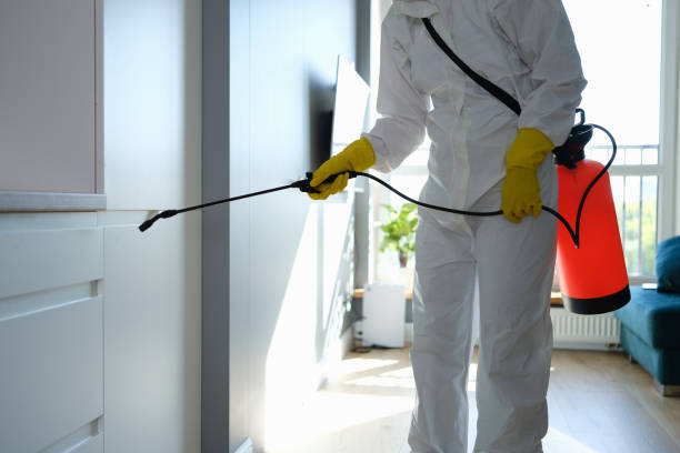 Best Crawl Space Mold Removal  in Ajo, AZ