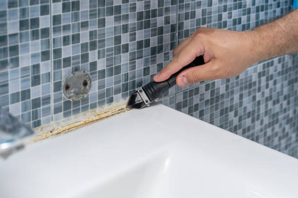 Best Local Mold Removal Service  in Ajo, AZ