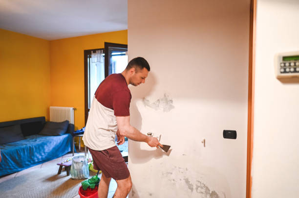 Best Mold Damage Repair  in Ajo, AZ